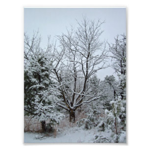 Foto Tierra de Maravillas del Invierno