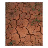 tierra seca y agrietada