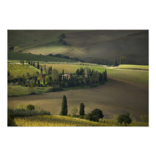 Foto Tierras de cultivo alrededor de Montepulciano, Tos