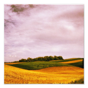 Foto Tierras de labrantío de oro