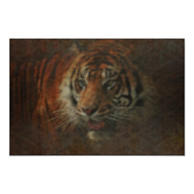 Foto Tigre (Frente)