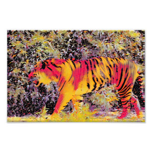 Foto Tigre colorido