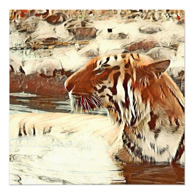 Foto tigre de natación de colores cálidos (Frente)