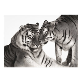 Foto Tigres - Retrato de vida silvestre pintado a mano