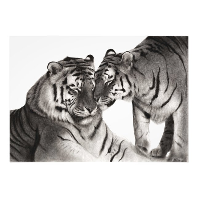 Foto Tigres - Retrato de vida silvestre pintado a mano (Frente)