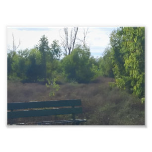 Foto Título: “Banco tranquilo en un paisaje natural sal