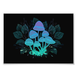 Foto Toadstools en Bushes