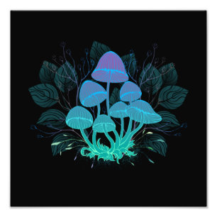 Foto Toadstools en Bushes