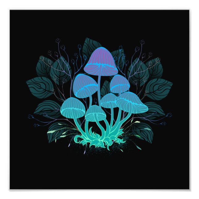 Foto Toadstools en Bushes (Frente)