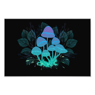 Foto Toadstools en Bushes