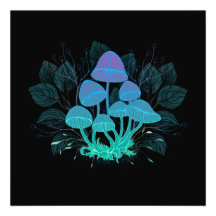 Foto Toadstools en Bushes