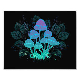 Foto Toadstools en Bushes