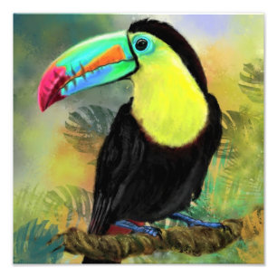 Foto Toco tropical Toco Toucan Bird Photo Print - Pintu