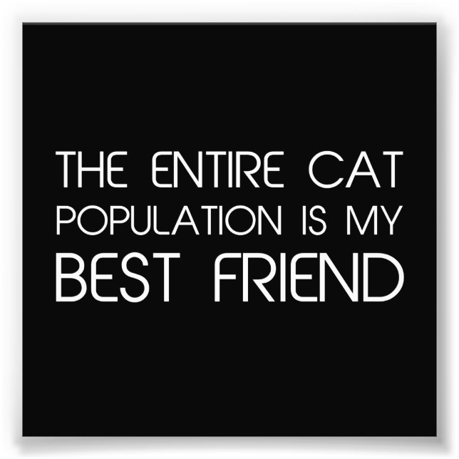 Foto Toda la población de gatos es mi mejor amigo (Frente)
