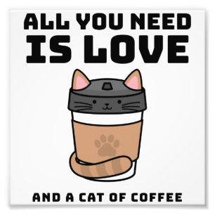 Foto Todo lo que necesitas es amor y un gato de café