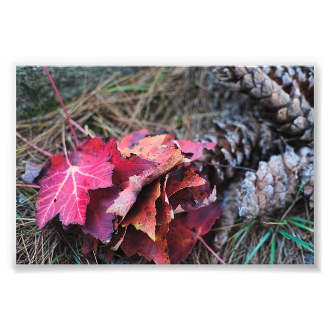 Foto Todos caen (Frente)