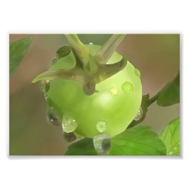 Foto Tomate verde en la lluvia (Frente)