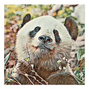 Foto toony panda
