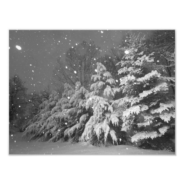 Foto Tormenta de nieve en árbol verde negro y blanco (Frente)
