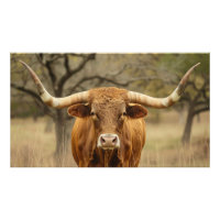 Toro Longhorn de Texas