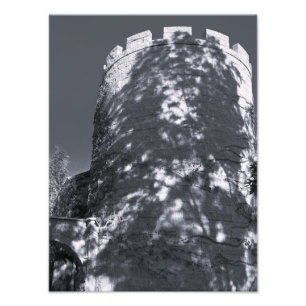 Foto Torre Oscura