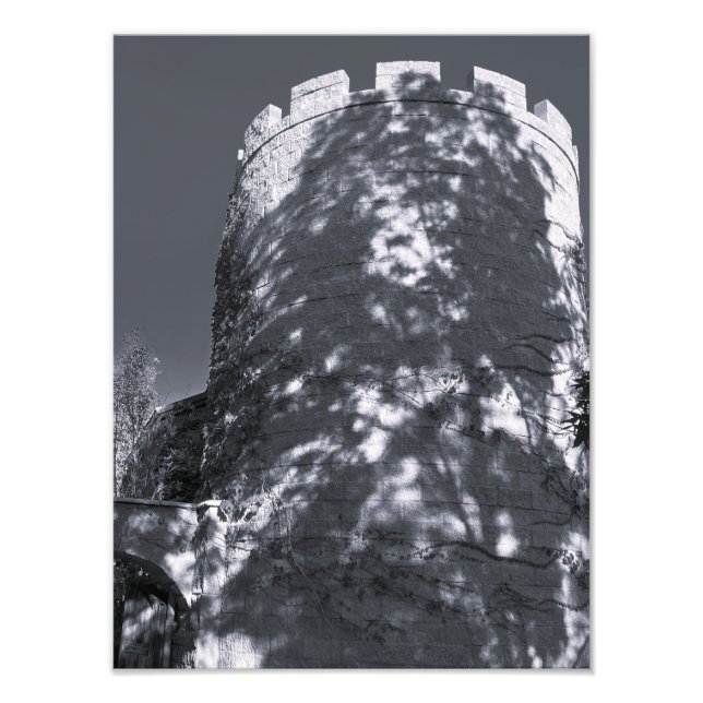 Foto Torre Oscura (Frente)