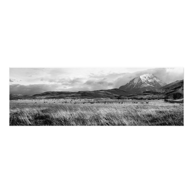 Foto Torres del Paine (Frente)