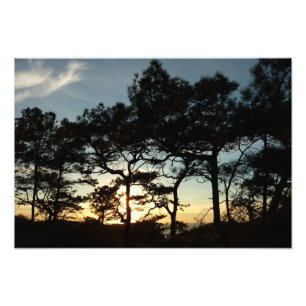 Foto Torrey Pine Sunset II California