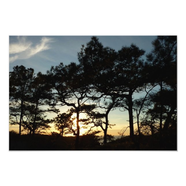Foto Torrey Pine Sunset II California (Frente)