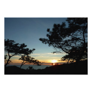Foto Torrey Pine Sunset III California