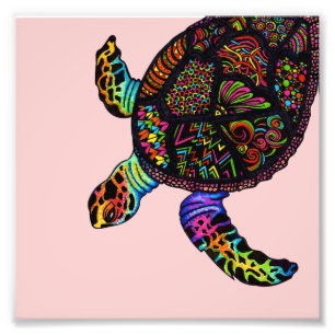 Foto Tortuga