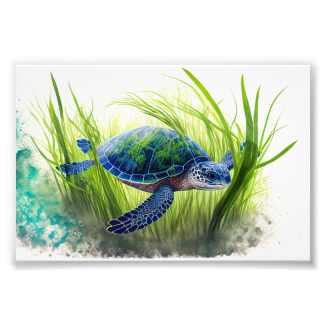 Foto Tortuga azul, tortuga, decoración marinera, arte p (Frente)
