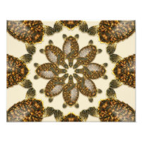 Tortuga Carey Kaleidoscópica Impresión de 14" x 11