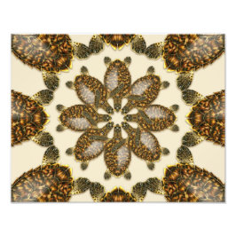 Foto Tortuga Carey Kaleidoscópica Impresión de 14" x 11