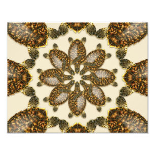 Foto Tortuga Carey Kaleidoscópica Impresión de 14" x 11