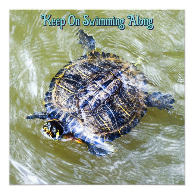 Foto Tortuga de baño dice hola (Frente)