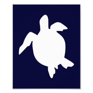 Foto Tortuga Marina Azul Oscuro y Blanco Vertical A