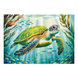 Foto Tortuga pintada