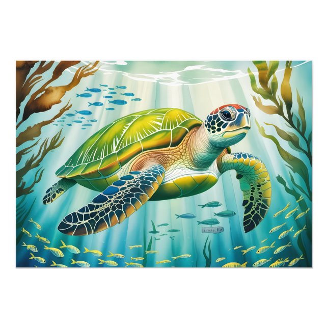 Foto Tortuga pintada (Frente)