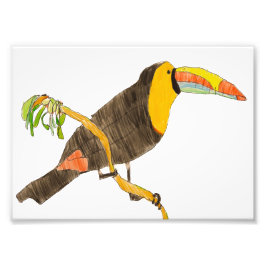 Foto Toucan on a Branch Print; 7" x 5"