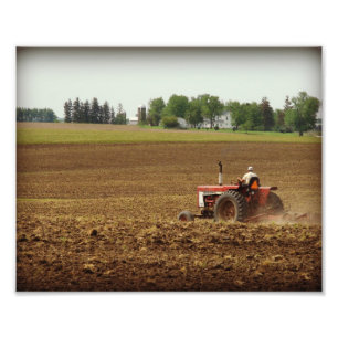 Foto Trabajo de Campo Kalona, Iowa