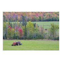 Tractor con fardo de heno en campo verde con