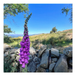 Foto Tranquilidad del campo inglés