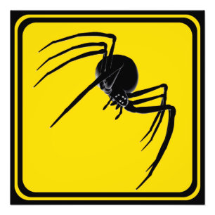 Foto ¡Travesía grande de la araña!