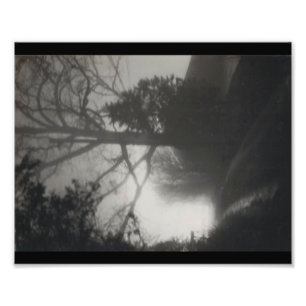 Foto Trayectoria de niebla