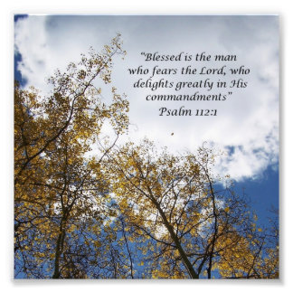 Foto Treetops Psalms 11:23 Fotografía de las Escrituras