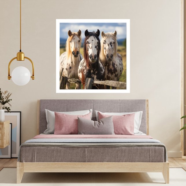 Foto Tres caballos Appaloosa (Subido por el creador)