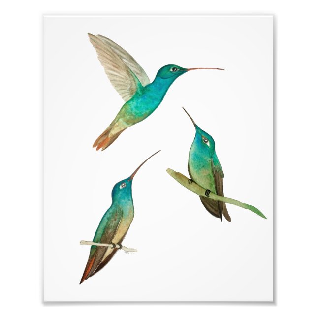 Foto Tres colibríes  (Frente)
