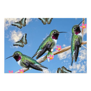 Foto Tres colibríes en la rama Silencio perenne