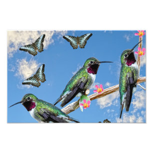 Foto Tres colibríes en la rama Silencio perenne